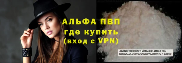 индика Нефтекумск