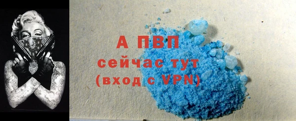 индика Нефтекумск