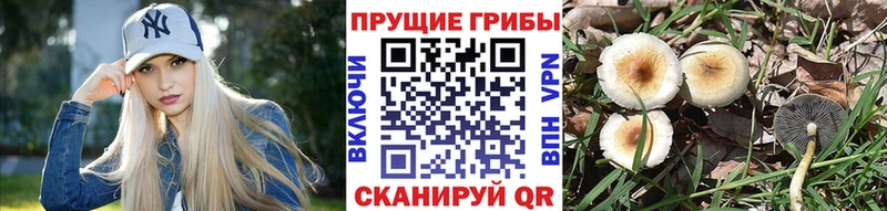 omg ТОР  Сызрань  Галлюциногенные грибы Magic Shrooms 